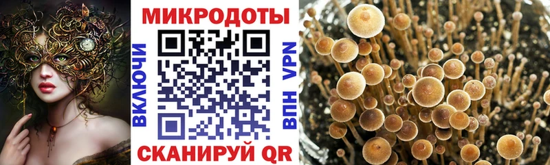 Псилоцибиновые грибы мухоморы  Партизанск 
