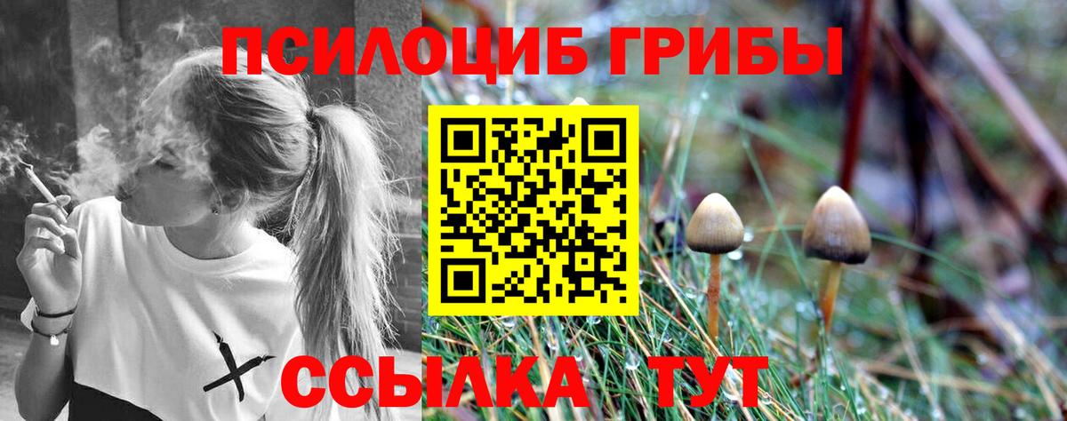 Галлюциногенные грибы Cubensis Партизанск