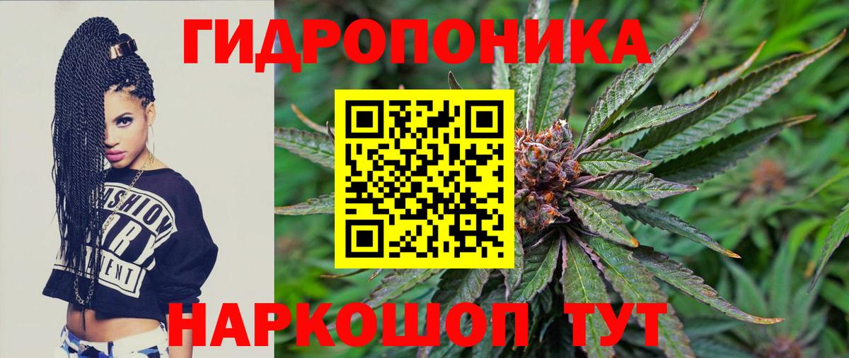 Канабис индика Партизанск